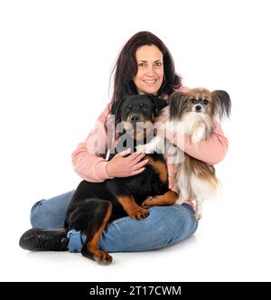 Hündchen Rottweiler, papillon und Frau vor weißem Hintergrund Stockfoto