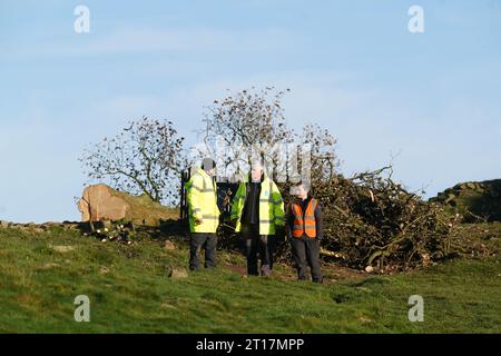 Die Arbeiten beginnen mit der Entfernung des umgeschlagenen Sycamore Gap Baumes an der Hadrian's Wall in Northumberland. Bilddatum: Donnerstag, 12. Oktober 2023. Stockfoto