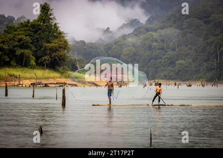 Ureinwohner im Royal Belum Perak verwenden Netze zum Fangen von Fischen Stockfoto