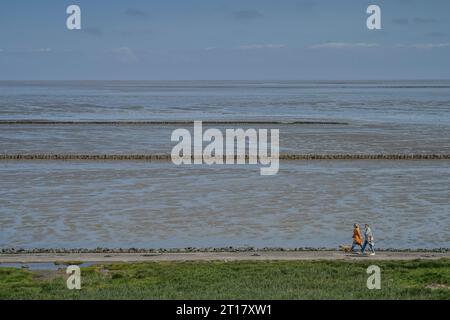 Watt, Niedrigwasser östlich von Keitum, nördlich vom Hindenburgdamm, Sylt, Schleswig-Holstein, Deutschland Stockfoto