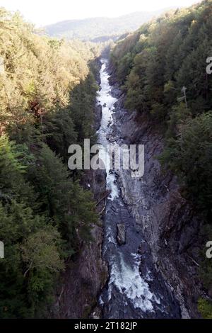 Die Quechee Gorge, Quechee State Park, von der U.S. Route 4 Bridge aus gesehen. Stockfoto