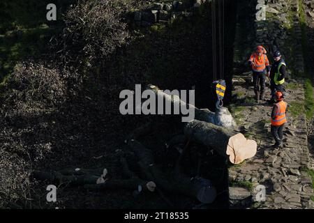 Die Arbeiten beginnen mit der Entfernung des umgeschlagenen Sycamore Gap Baumes an der Hadrian's Wall in Northumberland. Bilddatum: Donnerstag, 12. Oktober 2023. Stockfoto