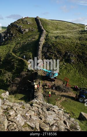 Die Arbeiten beginnen mit der Entfernung des umgeschlagenen Sycamore Gap Baumes an der Hadrian's Wall in Northumberland. Bilddatum: Donnerstag, 12. Oktober 2023. Stockfoto