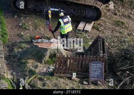 Die Arbeiten beginnen mit der Entfernung des umgeschlagenen Sycamore Gap Baumes an der Hadrian's Wall in Northumberland. Bilddatum: Donnerstag, 12. Oktober 2023. Stockfoto