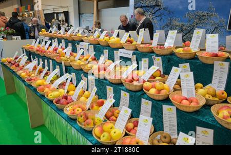 Vielfalt, Äpfel, Messe, Internationale Grüne Woche, Messegelände, Charlottenburg, Berlin, Deutschland Stockfoto