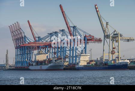 Containerterminal Tollerort, Kräne, Elbe, Hamburg Stockfoto