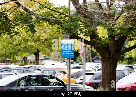 Blauer Parkschein im Querschnitt des Parkplatzes Stockfoto