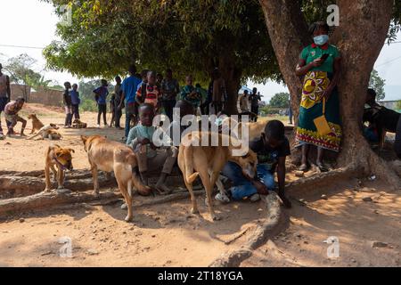 Manica, Mosambik - 28. September 2021: Kleine Kinder zusammen unter einem Baum mit ihren Africanis-Hunden Stockfoto