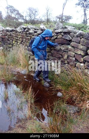 Älterer Mann (Wanderer), der auf Stepping Stones über einer Puddle an einer trockenen Steinmauer in der Nähe von Embsay, Airedale, Yorkshire Dales National Park, England, Großbritannien. Stockfoto