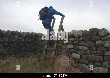 Älterer Mann (Wanderer) klettert auf Holzleiterstile über die trockene Steinmauer in der Nähe von Embsay, Airedale, Yorkshire Dales National Park, England, Großbritannien. Stockfoto