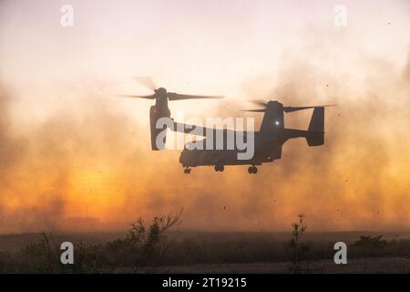 Oceanside, Usa. 26. September 2023. Ein der Medium Tiltrotor Squadron 164 zugeordnetes MV-22 Osprey-Kipprotorflugzeug der US-Marines wirft während einer gemeinsamen Aufklärungsübung mit der Royal Australian Army im Marine Corps Base Camp Pendleton am 26. September 2023 in Oceanside, Kalifornien, Staub auf. Quelle: Sgt. Amanda Taylor/USA Marine Corps/Alamy Live News Stockfoto