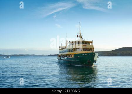 Die Manly Ferry, MV Collaroy, nähert sich der Manly Ferry Wharf, Sydney, NSW, Australien. Stockfoto