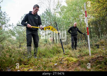 Lychen, Deutschland. Oktober 2023. Die Munitionsberger Julian Hohnke (l) und Patrick Steffan sind auf dem ehemaligen Militärübungsgelände Tangersdorf unterwegs, um alte Munition zu finden und zu entsorgen. Ein Teil der Heidefläche der Heinz Sielmann Stiftung steht noch aus. Die Stiftung schafft derzeit die Voraussetzungen dafür, dass die Heide in den kommenden Jahren auf dem ehemaligen Militärübungsplatz wieder blühen kann und dass das für die Artenvielfalt wertvolle Freiland nicht schrittweise in Wald verwandelt wird. Quelle: Jens Kalaene/dpa/Alamy Live News Stockfoto