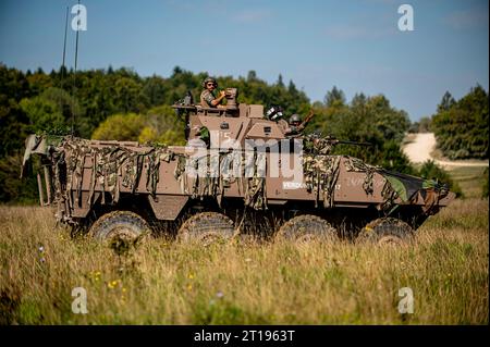 Hohenfels, Deutschland . 11. September 2023. Französische Soldaten fahren in einem Panzerfahrzeug der VBCI während der Saber Junction 23 im Joint Multinational Readiness Center am 11. September 2023 in der Nähe von Hohenfels durch ein Feld. Quelle: SFC Michel Sauret/U.S. Army/Alamy Live News Stockfoto