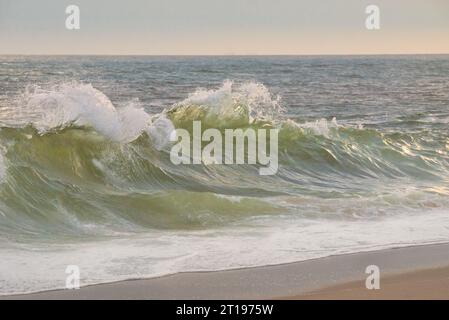 Wellen brechen am Strand, Pazifik, USA Stockfoto