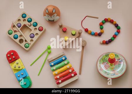 Umweltfreundliches farbiges Lernspielzeug aus Holz für Vorschulkinder. Kinderspielzeug aus Holz. Sortierer. Logikspielzeug für Kinder. Stockfoto