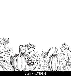 Komposition zu einem Herbstthema. Kürbisse und Kürbisblätter handgezeichnet in Grafiken auf weißem Hintergrund. Ganzer Kürbis, Kürbisscheibe, Blätter Stock Vektor