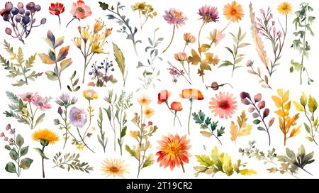 Setzen Sie Wildblumen, Blätter und Gras in Aquarelle. Collection botanische Gartenelemente. Vektorisolierte Illustration im Vintage-Stil Stock Vektor