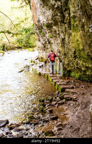 Ein Mann, der auf den Trittsteinen im Fluss Wye spaziert, während er durch Chee Dale im Derbyshire Peak District in England, Großbritannien, spaziert Stockfoto