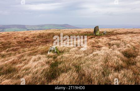 Hoch oben auf den verlassenen Preseli Hills Pembrokeshire, Wales, Großbritannien Stockfoto