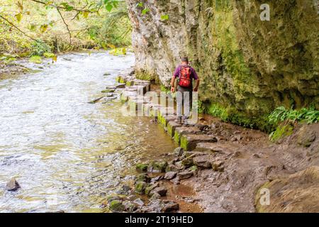 Ein Mann, der auf den Trittsteinen im Fluss Wye spaziert, während er durch Chee Dale im Derbyshire Peak District in England, Großbritannien, spaziert Stockfoto