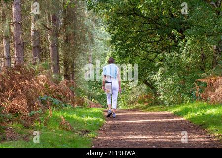 Menschen wandern im Delamere Forest auf dem 34 km langen Fußweg, dem Sandstone Trail, der zwischen Frodsham und Whitchurch in Shropshire verläuft Stockfoto