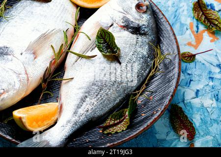 Frischer roher dorado-Fisch zum Kochen auf einem Teller. Meeresfrüchte Stockfoto