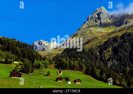 Klassische Alpenlandschaft, Holzhäuser und grüne Wiesen mit hohen felsigen Bergen im Hintergrund, Kanton Graubünden (Kanton Graubünden), Switze Stockfoto