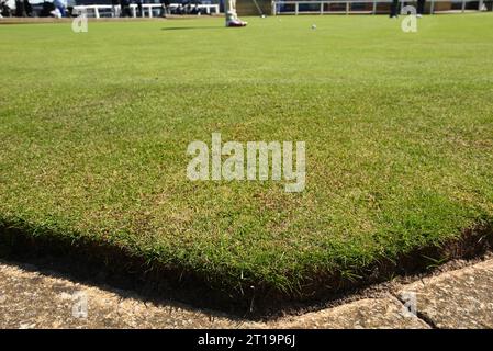 Ein Blick aus der Nähe zu den Saint Andrews weltweit bekannt grün, Schottland. Stockfoto