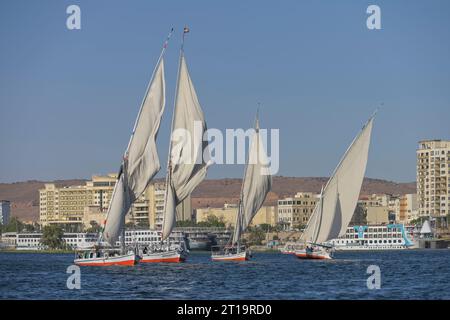 Segelschiffe, Ausflugboote auf dem Nil bei Assuan, Ägypten Stockfoto