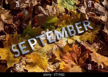 Word September lag mit silbernen Metallbuchstaben auf gefallenen Ahornblättern auf Herbstwaldboden Stockfoto