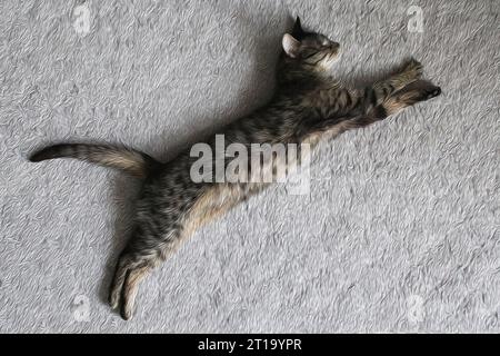 Grauer Tabby-Katzenschlaf auf einem Teppich, der einem springenden Puma ähnelt, Bild mit Ölmaleffekt Stockfoto