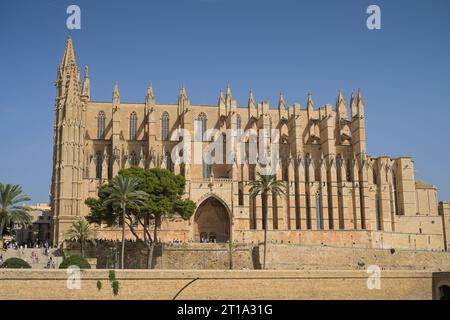 Südansicht der Kathedrale, Catedral de Palma de Mallorca, Palma, Mallorca, Spanien Stockfoto