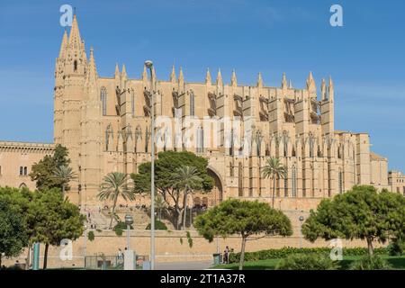 Südansicht der Kathedrale, Catedral de Palma de Mallorca, Palma, Mallorca, Spanien Stockfoto