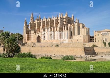 Südansicht der Kathedrale, Catedral de Palma de Mallorca, Palma, Mallorca, Spanien Stockfoto