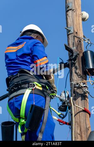 Elektriker mit Gürtel und Schutzhelm auf einer Leiter auf einem Holzmast, der Elektrizität repariert Stockfoto