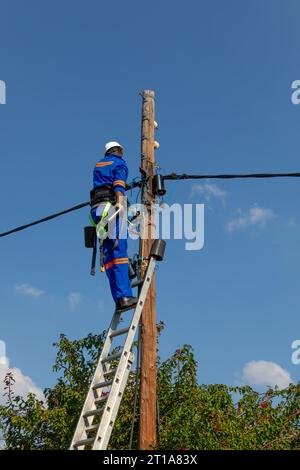 Elektriker mit Gürtel und Schutzhelm auf einer Leiter auf einem Holzmast, der Elektrizität repariert Stockfoto