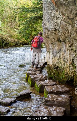 Ein Mann, der auf den Trittsteinen im Fluss Wye spaziert, während er durch Chee Dale im Derbyshire Peak District in England, Großbritannien, spaziert Stockfoto