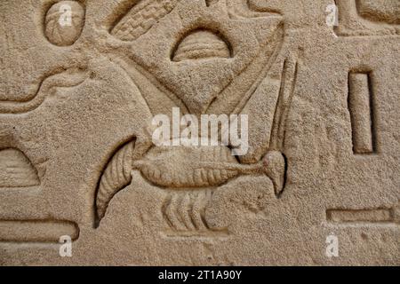 Nahaufnahme von Hilfsarbeiten an Blöcken am Dendera-Tempel in der Nähe von Qena, Ägypten Stockfoto