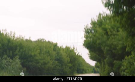 Blick vom Autofenster auf den Baumtunnel. Reisekonzept. Bäume entlang der Straße in Form eines Tunnels. Bäume von der Windschutzscheibe während der Fahrt Stockfoto