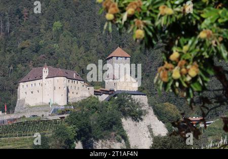 Italien, Südtirol 11. Oktober 2023 hier der Blick auf das Schloss Tirol bei Dorf Tirol, oberhalb von Meran, rechts im Bild ein Kastanienbaum, Meraner Land, Burggrafenamt, Tourismus, wandern, spazieren, Wahrzeichen, Namensgeber, Stammburg *** Italien, Südtirol 11 Oktober 2023 hier der Blick auf das Schloss Tirol bei Dorf Tirol, oberhalb von Meran, rechts im Bild ein Kastanienbaum, Meraner Land, Burggrafenamt, Tourismus, Wanderung, Spaziergang, Wahrzeichen, Namensvetter, angestammte Burg Credit: Imago/Alamy Live News Stockfoto