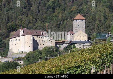 Italien, Südtirol 11. Oktober 2023 hier der Blick auf das Schloss Tirol bei Dorf Tirol, oberhalb von Meran, im Vordergund Weinberger, Meraner Land, Burggrafenamt, Tourismus, wandern, spazieren, Wahrzeichen, Namensgeber, Blick von der Faknerpromenade, Stammburg *** Italien, Südtirol 11 Oktober 2023 hier der Blick auf das Schloss Tirol bei Dorf Tirol, oberhalb von Meran, im Vordergrund Weinberger, Meraner Land, Burggrafenamt, Tourismus, Wandern, Spaziergang, Wahrzeichen, Namensgeber, Blick von der Faknerpromenade, angestammte Burg Credit: Imago/Alamy Live News Stockfoto