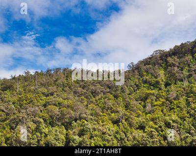 Mit Regenwald bewachsener Kamm gegen blauen Himmel mit interessanter Wolkenbildung, Landschaftsfoto in Hawaii im Volcanoes National Park. Stockfoto