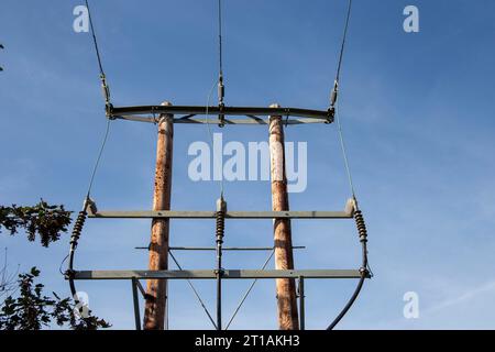 Versorgungsmasten mit elektrischen Leitungen gegen einen klaren blauen Himmel, mit umliegendem Laub Stockfoto