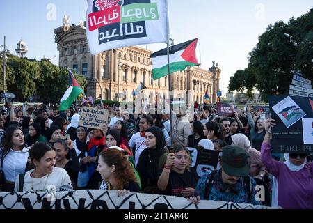 Barcelona, Spanien. Oktober 2023. Tausende Demonstranten versammelten sich und nahmen an der antikolonialistischen Demonstration Teil. (Foto: Ximena Borrazas/SOPA Images/SIPA USA) Credit: SIPA USA/Alamy Live News Stockfoto