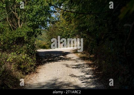 Leere Landstraße mit kleinen Steinen bedeckt, nicht gepflastert, in Sommersonne getaucht. Unkraut und Bäume sind an den Straßenrändern bewachsen Stockfoto