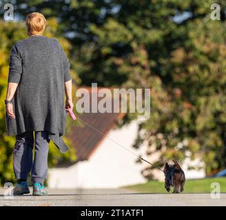 11.10.2023, Handenberg, AUT, unterwegs in Oberösterreich, Themenbild, verschiedene Themenbilder, Hund, im Bild eine Frau geht mit einem Hund spazieren, Hund an der Leine, *** 11 10 2023, Handenberg, AUT, auf der Straße in Oberösterreich, Themenbild, verschiedene Themenbilder, Hund, im Bild eine Frau geht mit einem Hund, Hund an der Leine, Stockfoto