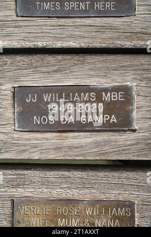 Rugby Player JJ Williams Memorial Plaque am Pier in Penarth South Wales UK Stockfoto