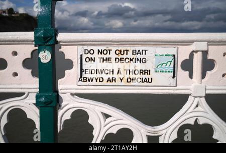 Gusseisengeländer am Pier Penarth, Südwales, Großbritannien Stockfoto