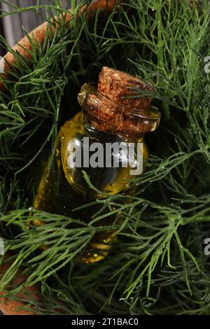 Flasche ätherisches Öl und frischer Dill in Schüssel, Draufsicht Stockfoto